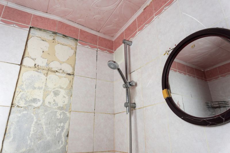 Top Shower Remodeling Companies in Dunedin, FL